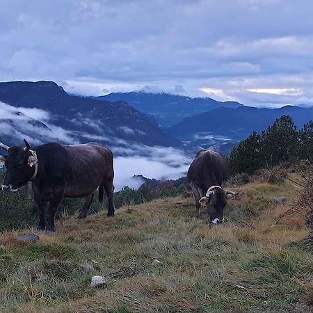 Precioso Apartamento En El Pirineo Catalan Ла-Побла-да-Лільєт Екстер'єр фото