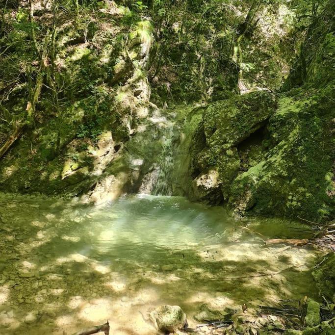 Precioso Apartamento En El Pirineo Catalan Ла-Побла-да-Лільєт Екстер'єр фото