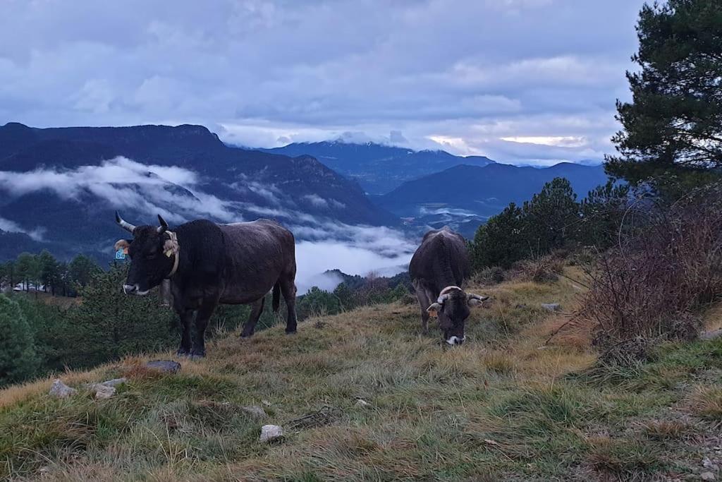 Precioso Apartamento En El Pirineo Catalan Ла-Побла-да-Лільєт Екстер'єр фото